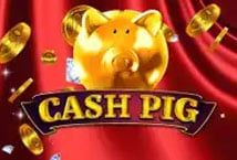 Cash Pig